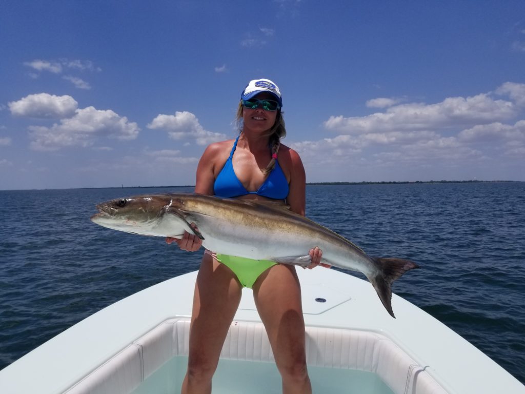 Snook, cobia and tripletail are leading November catch list