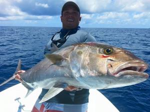 Big Amberjack Bimini 2  Tampa Bay Fishing Charter Capt. Matt Santiago