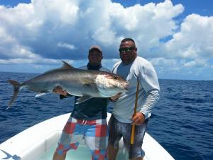 Big Amberjack Bimini Tampa Bay Fishing Charter Capt. Matt Santiago