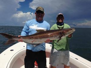 Big Cobia Tampa Bay Fishing Charter Capt. Matt Santiago
