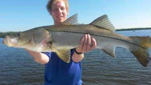 Big snook 3 Tampa Bay Fishing Charter Capt. Matt Santiago