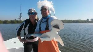 Bonnethead Shark Tampa Bay Fishing Charter Capt. Matt Santiago