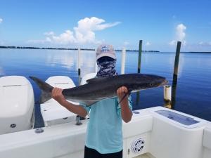 Cobia 2 Tampa Bay Fishing Charter Capt. Matt Santiago
