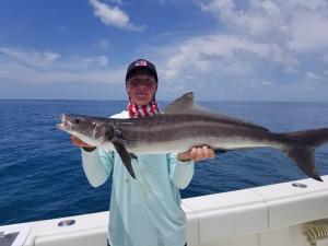 Cobia 3 Tampa Bay Fishing Charter Capt. Matt Santiago