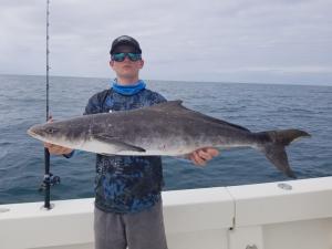 Cobia Tampa Bay Fishing Charter Capt. Matt Santiago