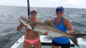 Girls who fish Cobia Tampa Bay Fishing Charter Capt. Matt Santiago