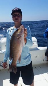 Mangrove Snapper 2 Tampa Bay Fishing Charter Capt. Matt Santiago