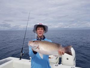 Mangrove Snapper Tampa Bay Fishing Charter Capt. Matt Santiago