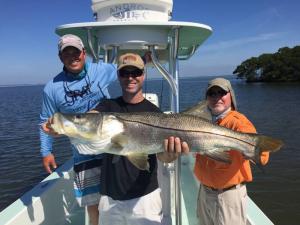 Monster Snook Tampa Bay Fishing Charter Capt. Matt Santiago
