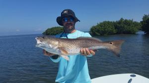 Redfish 15 Tampa Bay Fishing Charter Capt. Matt Santiago