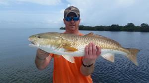 Redfish 30 Tampa Bay Fishing Charter Capt. Matt Santiago