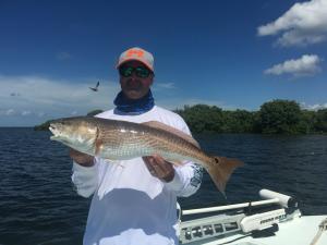 Redfish on the flats Tampa Bay Fishing Charter Capt. Matt Santiago