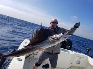 Sailfish Tampa Bay Fishing Charter Capt. Matt Santiago