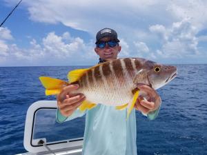 Schoolmaster snapper Tampa Bay Fishing Charter Capt. Matt Santiago