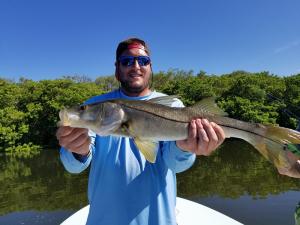 Snook 14 Tampa Bay Fishing Charter Capt. Matt Santiago