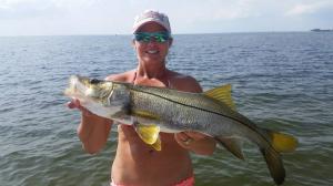Snook 18 Tampa Bay Fishing Charter Capt. Matt Santiago