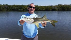 Snook 20 Tampa Bay Fishing Charter Capt. Matt Santiago