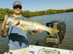 Snook 3 Tampa Bay Fishing Charter Capt. Matt Santiago