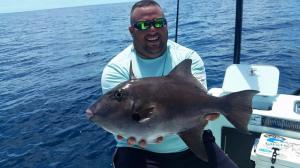 Triggerfish Bimini Tampa Bay Fishing Charter Capt. Matt Santiago